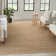 Gerri Solid Color Flatweave Area Rug in Tan