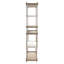 Anax Bookcase