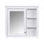 Armoire à pharmacie à miroir fixée au mur l 30 po H 28 po Rosaelia-1146936507
