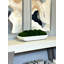 Moss Preserved in Oblong Planter-2127157689