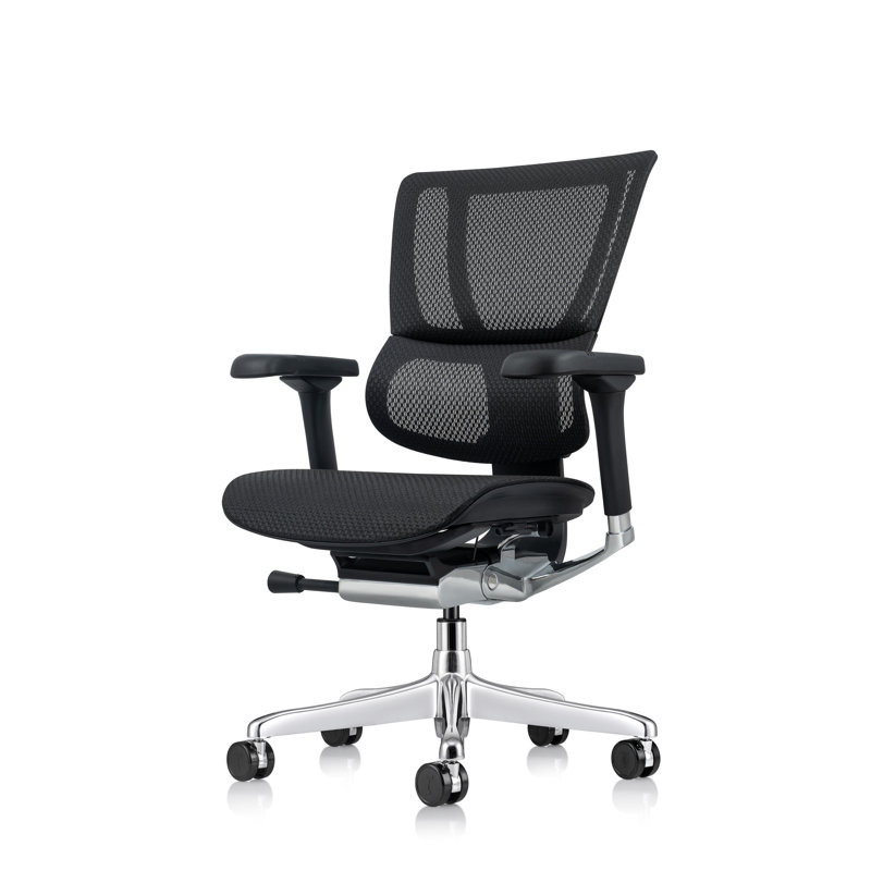 Ergohuman Xtreme Lo Back, Black
