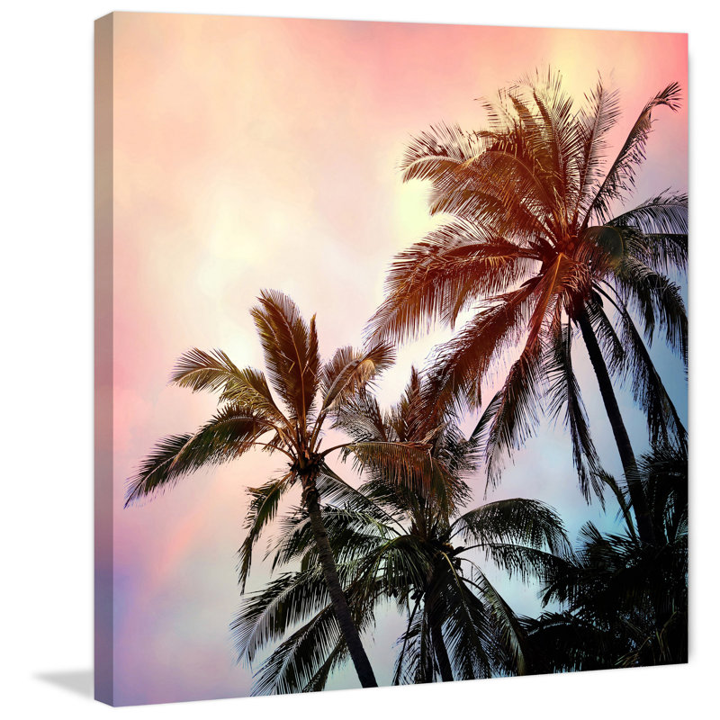 Sylvia Cook - Wrapped Canvas Print, 45cm H x 45cm W x 3.81cm D