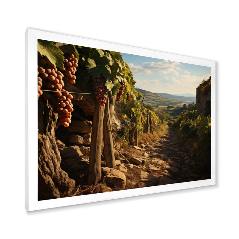 «Vineyard Hidden Gem» sur toile, H 30 po x l 40 po x P 1,5 po, Cadre photo blanc