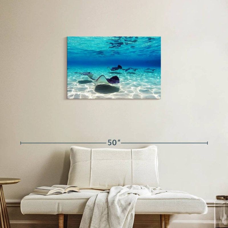 Crowle Grand Cayman Stingrays, 20" H x 30" W