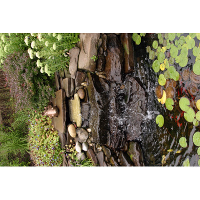 Bodette " Plant Filled Backyard Garden Pond Oasis "