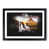 Black Framed