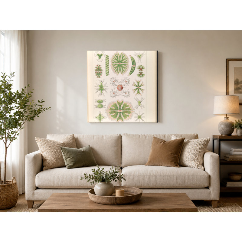 Desmidiea (Tafel 21, Kunstformen der Natur, 1904) - Art mural carré sur toile, 12" W x 12" H