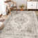 Elaine Machine Washable Oriental Area Rug with Non-Slip Backing