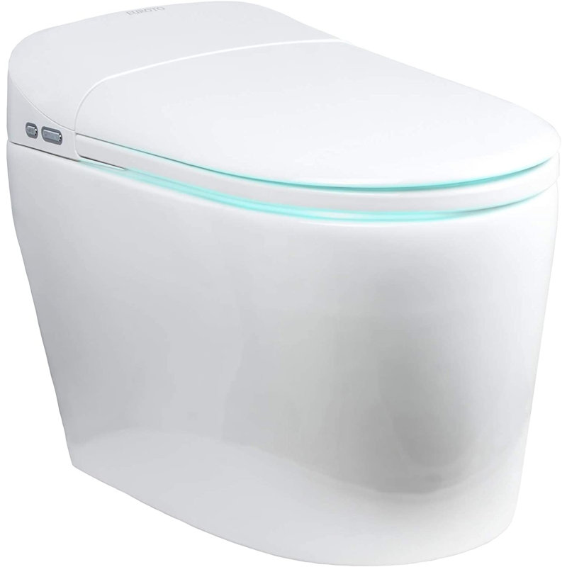 Dual-Flush Elongated Bidet One-Piece Smart Toilet (Seat Included)
