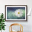 White Daisy Vol.2 Painting - Picture Frame Graphic Art-62765414-62765415