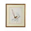 Delicate Birds I Print