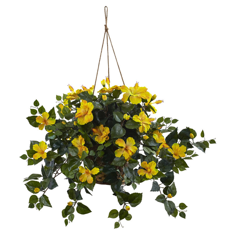 Panier suspendu Hibiscus