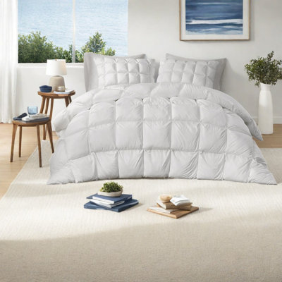 Ensemble de literie luxueuse, polyester, confort moderne, chambre à coucher