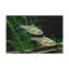 No Frame Print on Canvas-628552781