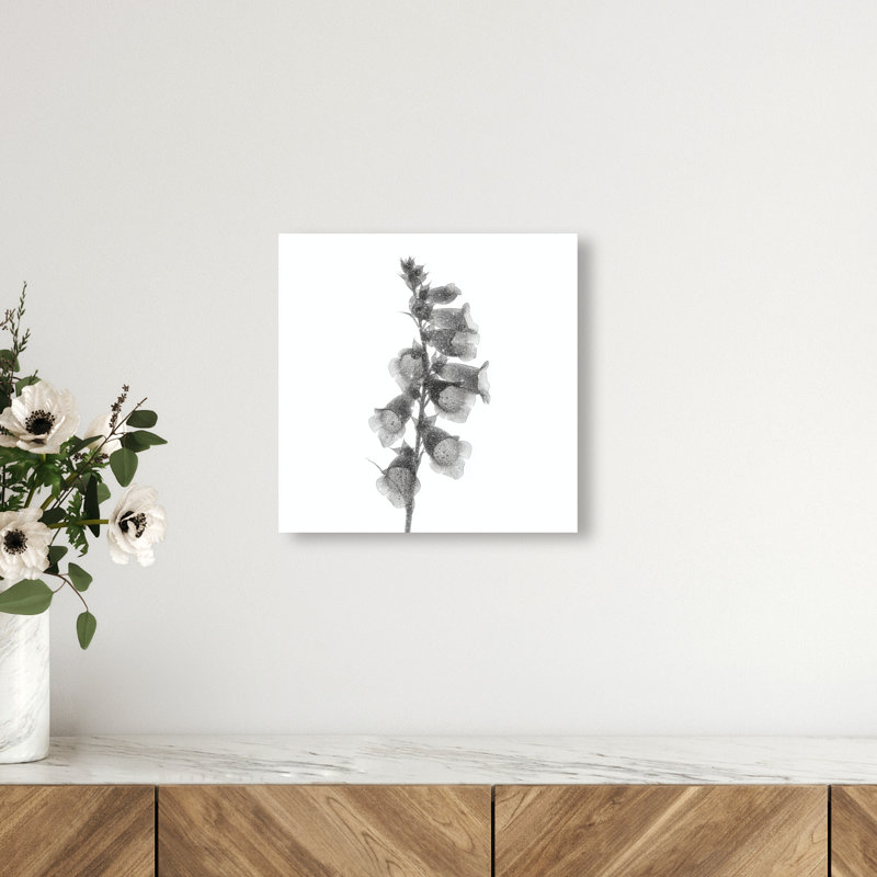 Ossified Petals II Canvas Floral & Botanical Print by Oliver Gal, Black Frame, 12 x 12, 12"H x 12"W, Gallery Wrapped
