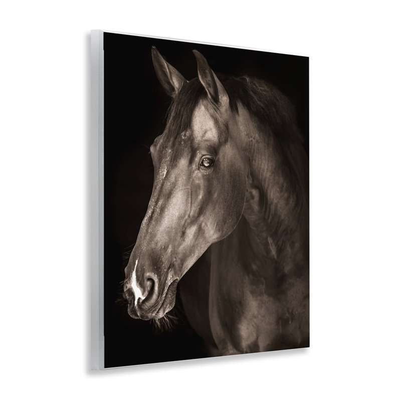 «Strong Stallion Horse», plaque murale par Marcus Prime