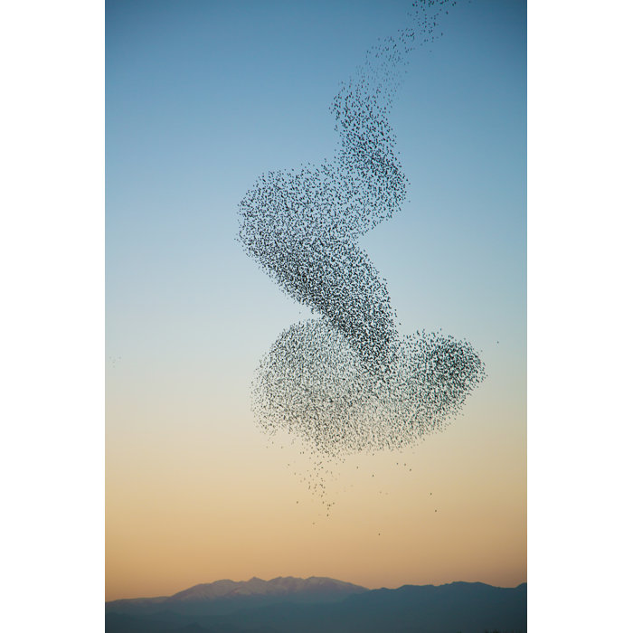 17 Stories Murmuration Of Starlings by JulieanneBirch - Wrapped Canvas ...