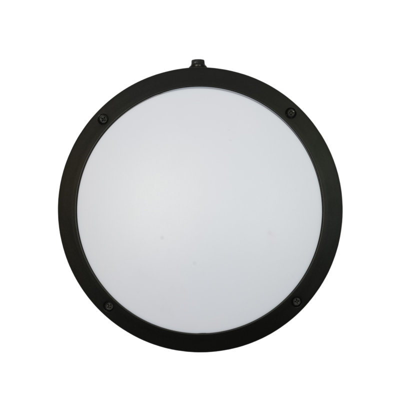 Tête ronde Bulk