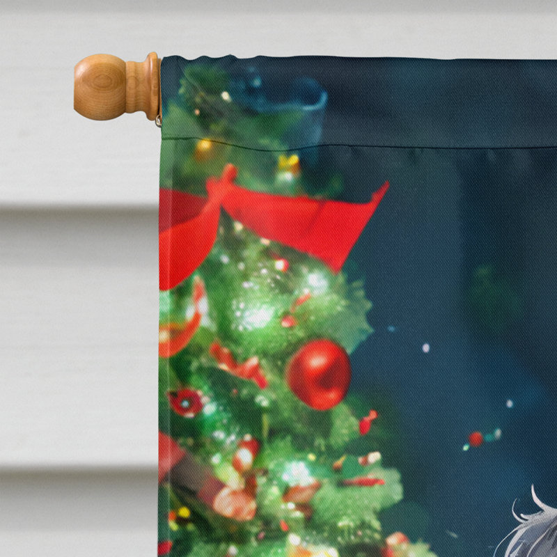 Drapeau de jardin en polyester à 2 faces, H 40 po x l 28 po