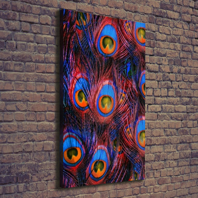 Peacock Feathers - Wrapped Canvas Print