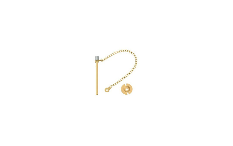 Door Pin, PVD Polished Brass