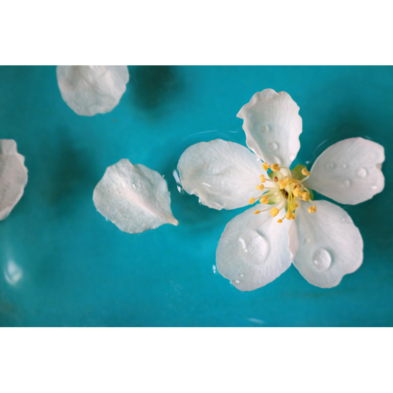 Apple Blossom in Water 1 Piece Wrapped Canvas Wall Art, 20cm H x 30cm W x 3.8cm D