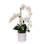 Orchid Arrangement