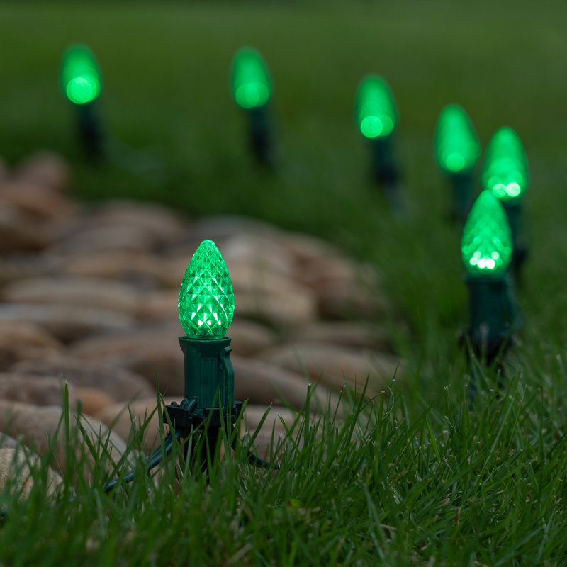 Luminary & Pathway Lights, 25 feet