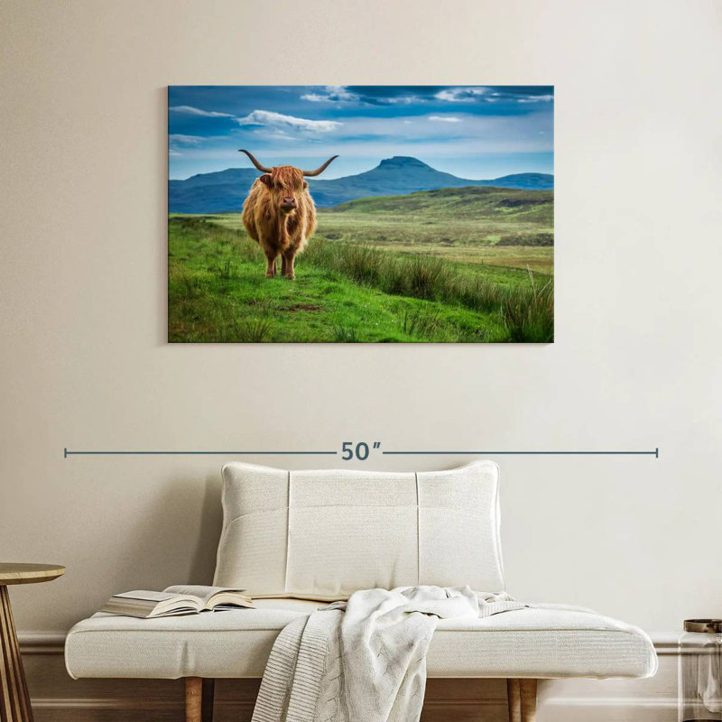 Brampt Skye Highland Cow, H 26 po x l 39 po