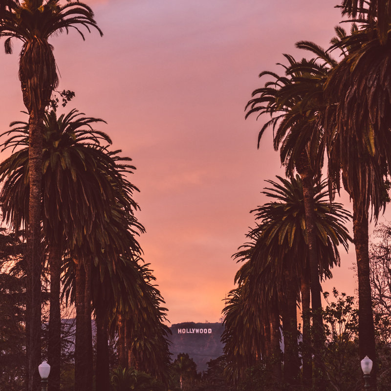 Hollywood, H 36 po x l 36 po