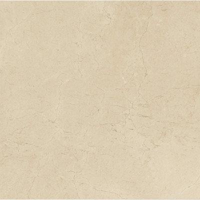 Marfil 5.8 in. x 5.8 in. Glossy Porcelain Tile