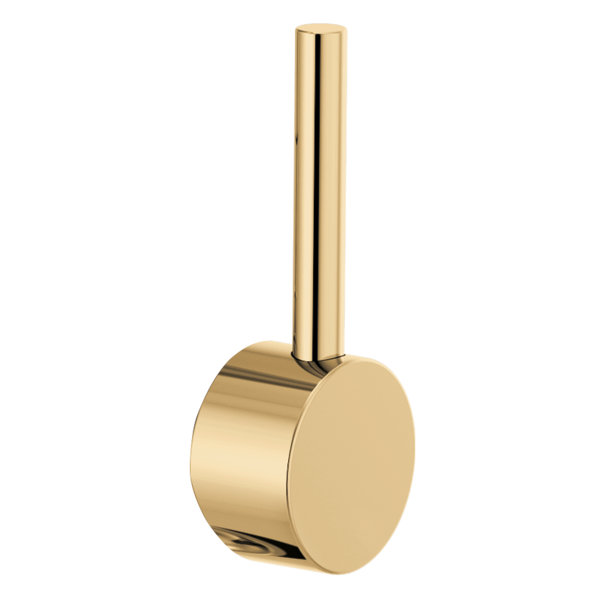 Odin® Pull-Down Prep Faucet with Arc Spout, Polished Gold, Lever