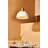 Clendon 1-Light Dimmable Metal Dome Pendant-38031696-74008649-74008652