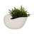 Decorative Ceramic Shell Accent Sculpture Object for Home Decor - Coral Figurine Accent for Table Styling, or Living Room Decoration - White