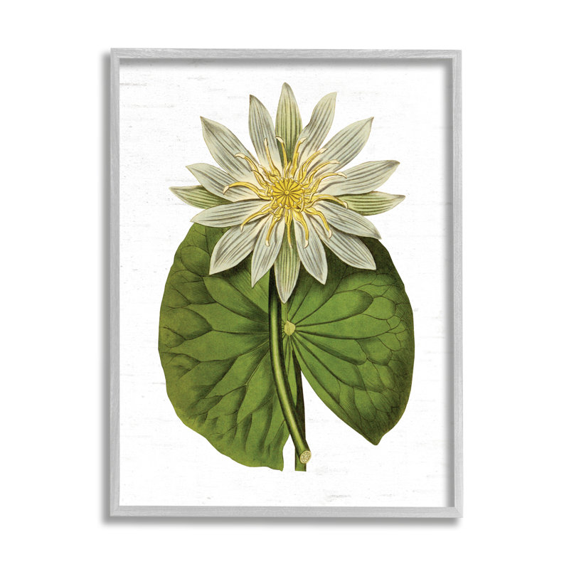 Art floral texturé sur fond de nénuphar rétro, Toile tendue, H 24 po x l 30 po