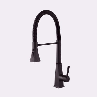 Kitchen Faucet With Pull Down Sprayer