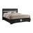 Elessa Storage Bed with 2 Drawer-742594050-772582569