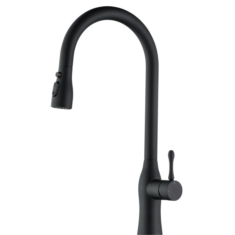 Robinet de cuisine escamotable noir mat avec conception à ressort exposé, fonction escamotable en acier inoxydable pour robinet à grande arche, fabrication