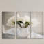 Farmhouse Blooms - ensemble de 3 reproductions de photos sur toile-1493122160