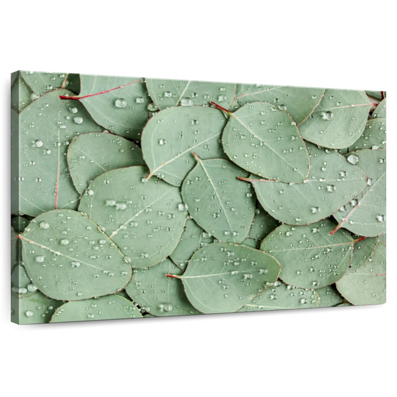 Harnek Dewy Eucalyptus Leaf Pile