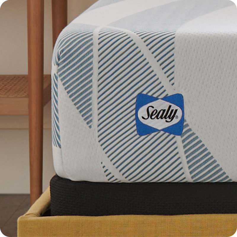 Sealy Dreamlife 10” Medium-Firm Hybrid Mattress-in-a-Box, Queen