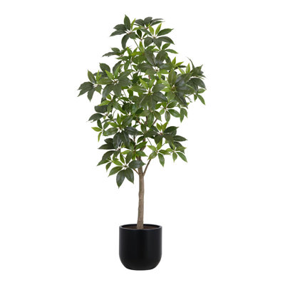 TREE MONEY POT 7FT