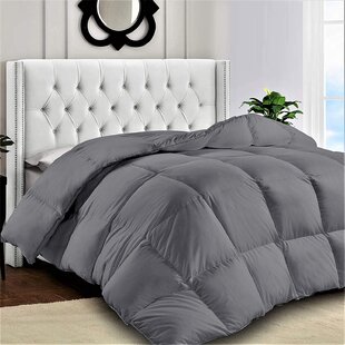 Wayfair  Queen Comforters & Sets You'll Love in 2024