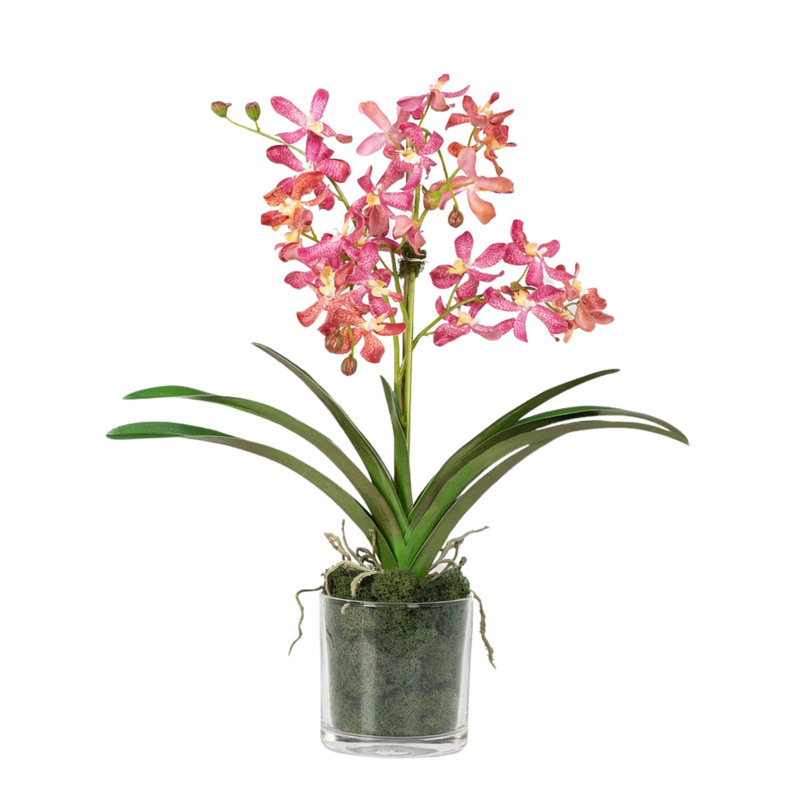 Orchid Arrangement In Glass Vase, Pink