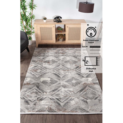 Adebare Geometric and Trellis Indoor / Outdoor Area Rug