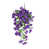 Mauve est en rupture de stock