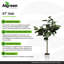 Pot à fleurs décoratif en faux chêne 64 po Algreen