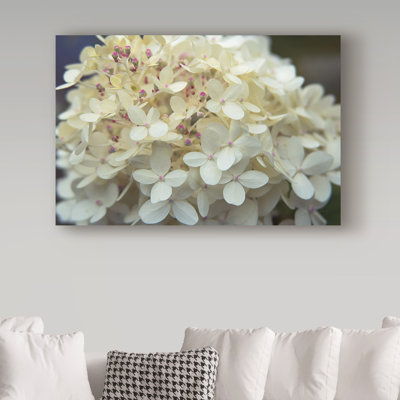 Kernell Modern & Contemporary