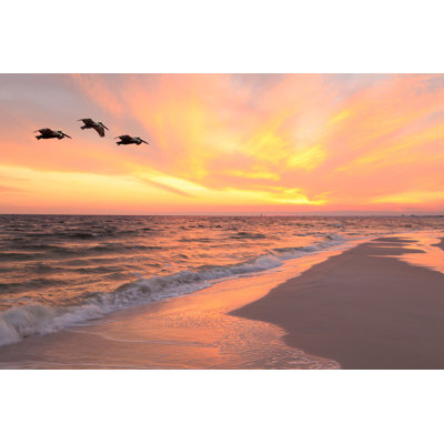 " Beach At Sunset " by Sdbower