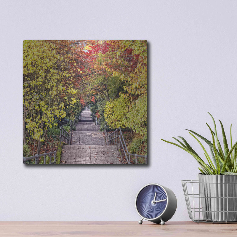 «Autumn Tunnel» par Colby Chester, H 12 po x l 12 po